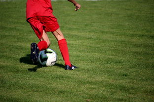 九游体育下载-意甲青训体系中融入情绪调节训练的效果评估，意甲青训体系中融入情绪调节训练的效果评估